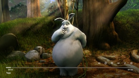 FolderVideoPlayer on Apple TV — screen 2
