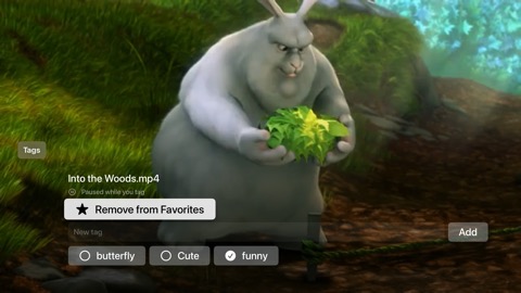 FolderVideoPlayer on Apple TV — screen 3