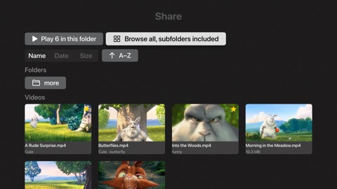 FolderVideoPlayer library on an Apple TV — the full screen