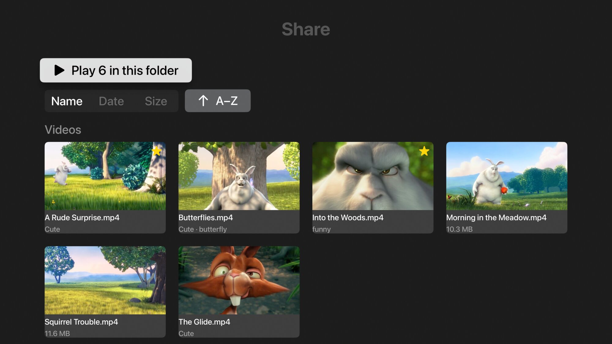 FolderVideoPlayer on Apple TV showing a folder of video thumbnails
